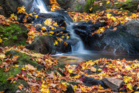 Cascade in Fall Leaves. Lydenborough, New Hampshire.