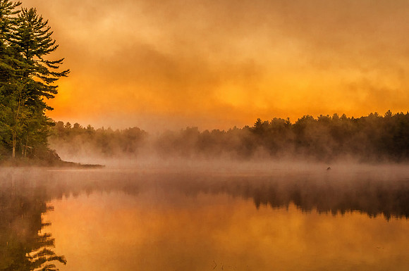 Chasing the Golden Light Greenfield Pond, NH
