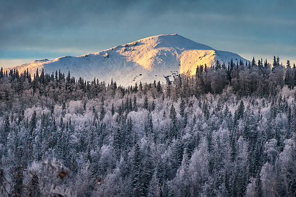 Winter, Kenai Pennisula, Alaska