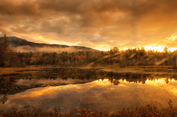 Golden Light on Perkins Pond, Jaffrey