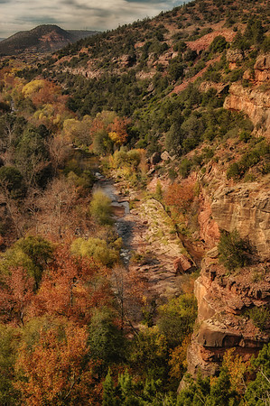 Late Fall, Oak Creek Canyon, Arizona